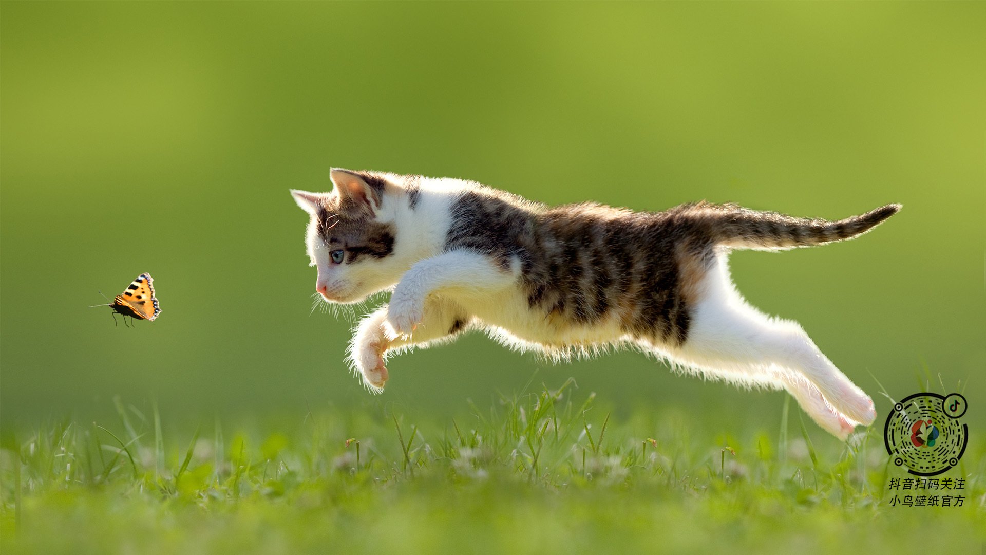 _湖人奋力突破，季后赛目标稳步逼近_，湖人队季后赛