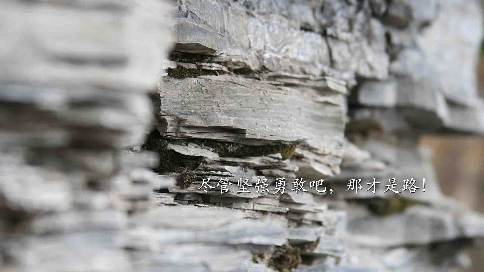 环保材料在赛车中的应用新进展,汽车环保材料在汽车上的使用前景