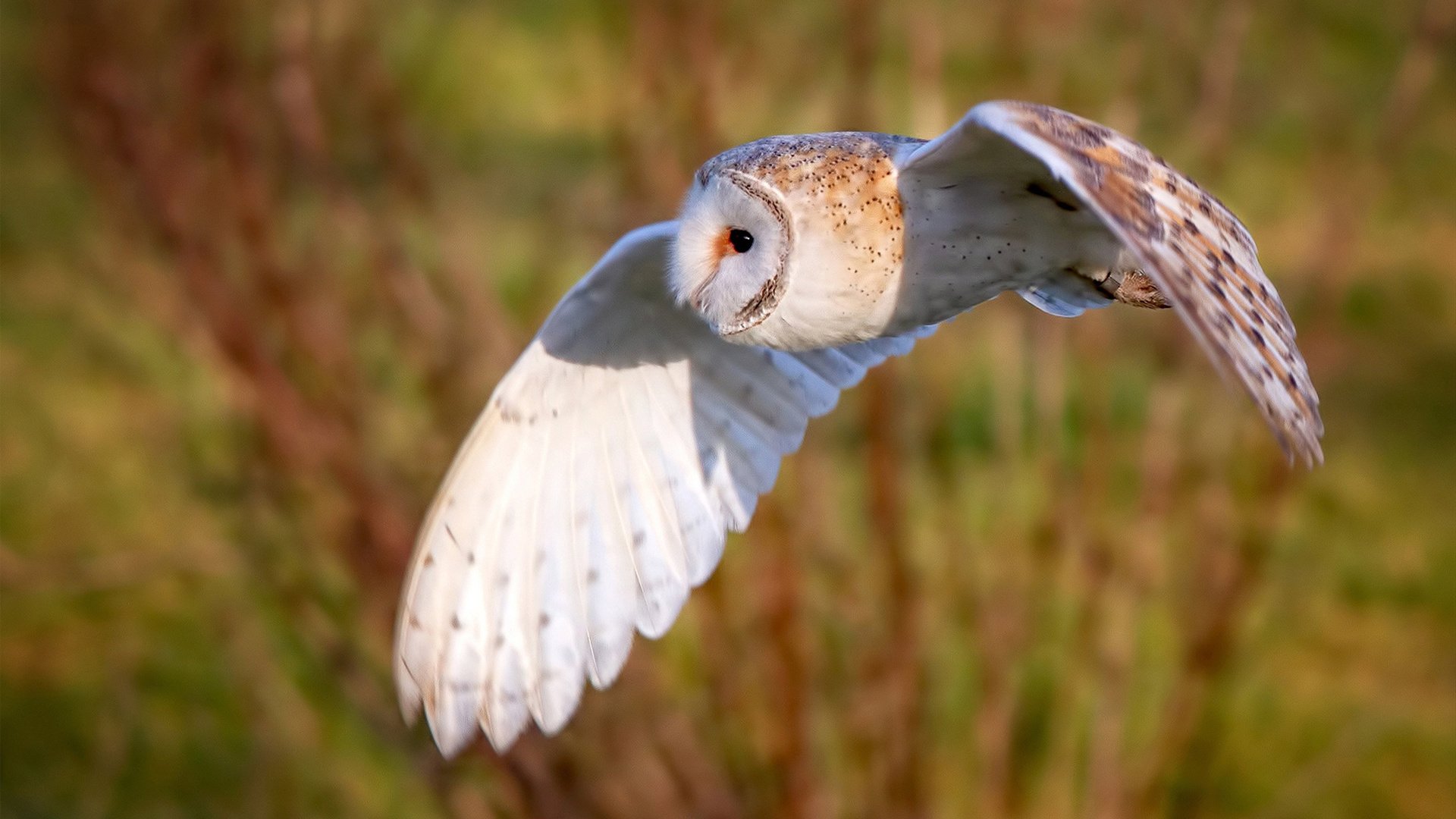 爱游戏综合娱乐-英格兰防线再零封，门将表现神勇，英格兰防守能力