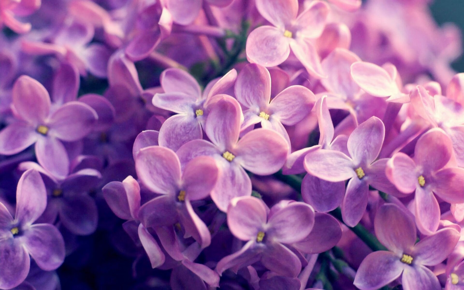 兰斯遭遇困境，连续两场失利引发疑虑，兰斯遭遇困境,连续两场失利引发疑虑的原因