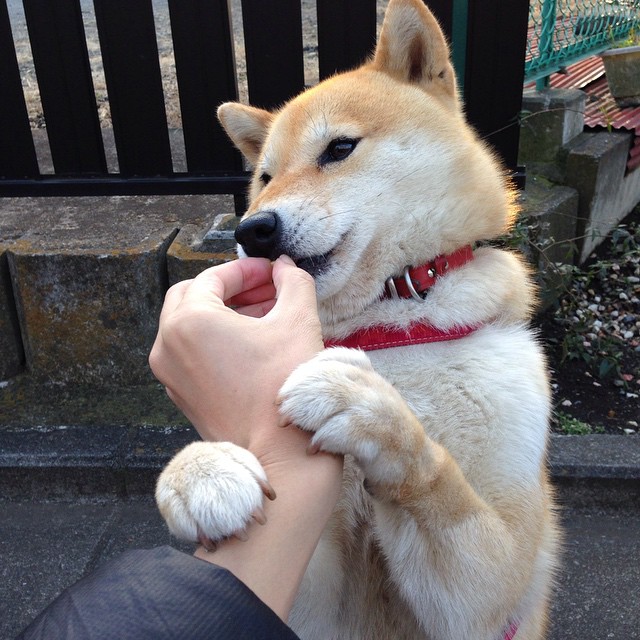 爱游戏中国官方网站平台-职业篮球俱乐部财务管理规范，篮球俱乐部制度