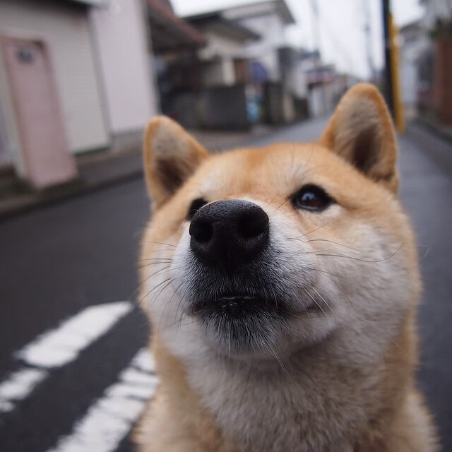 中国足球球员位置变动趋势追踪,中国足球球员历史地位排名
