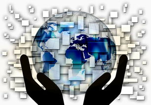 爱游戏娱乐网址-中超球队年度控场人数分布与效果评估，中超球队人数限制