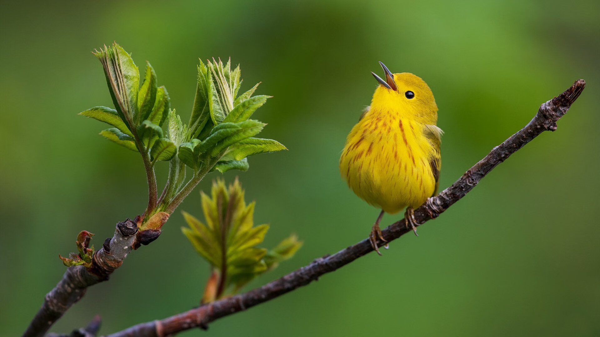 西甲球队赛季中期疲劳评估与训练调整的实践研究,西甲技术统计