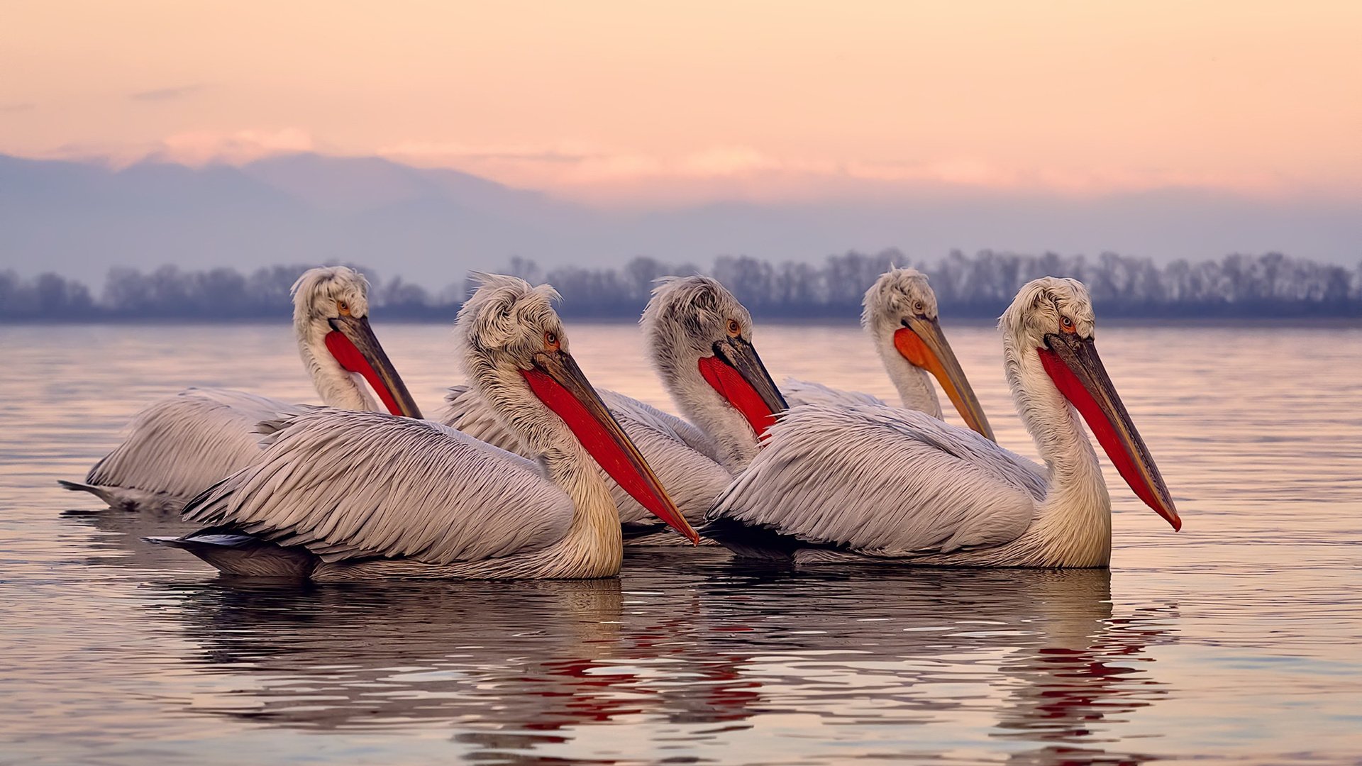 爱游戏中国官方登录入口网站-球队上半场进球率是否决定其整体排名走势，上半场进球大1