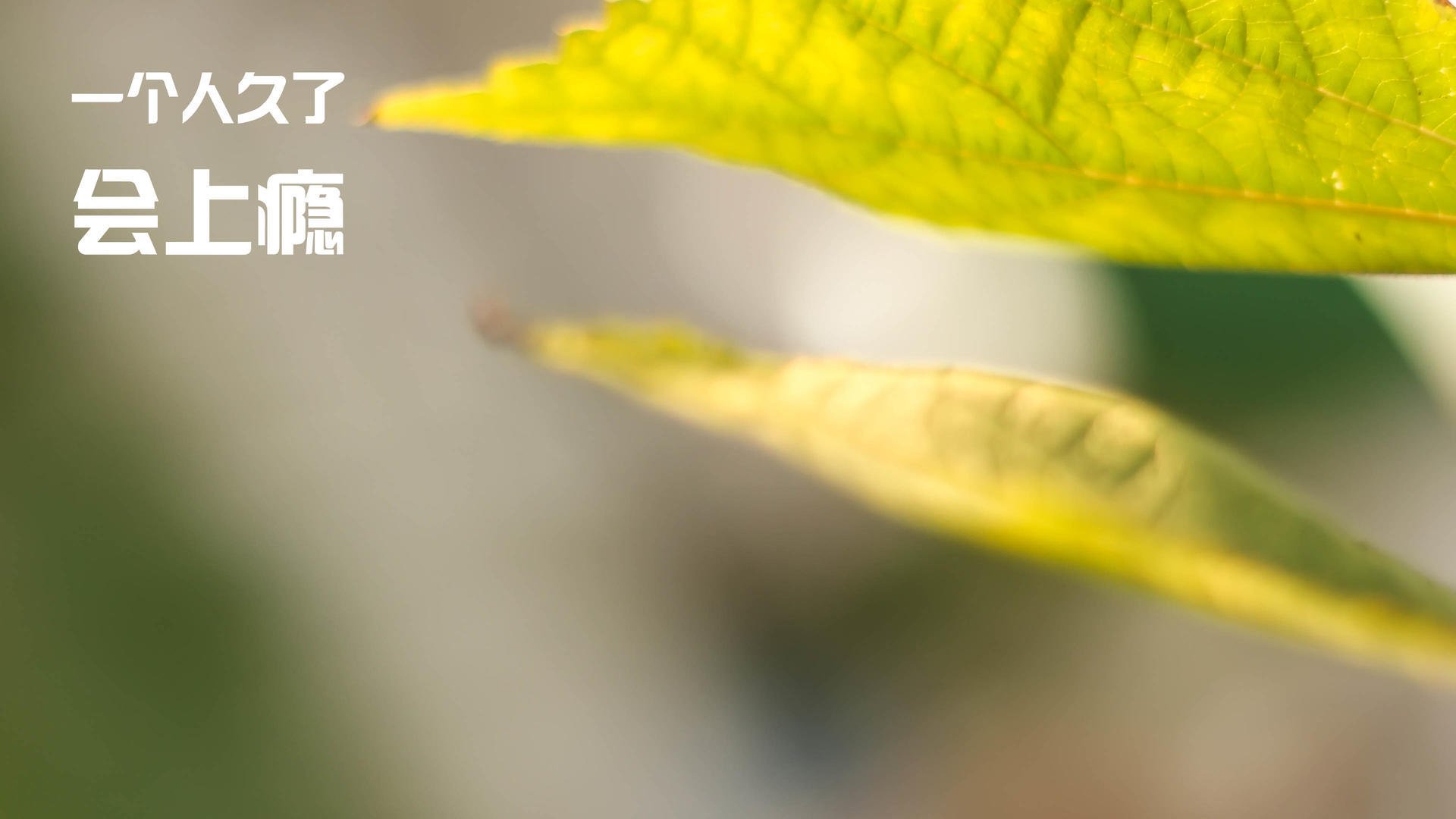 爱游戏官方网站-男队仰泳突破个人极限，中国男子仰泳领军人物