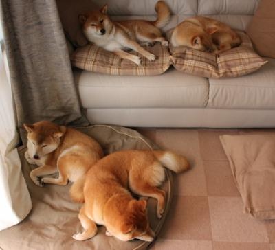 爱游戏电竞官网-青少年足球参与热情不高，青少年足球热身训练