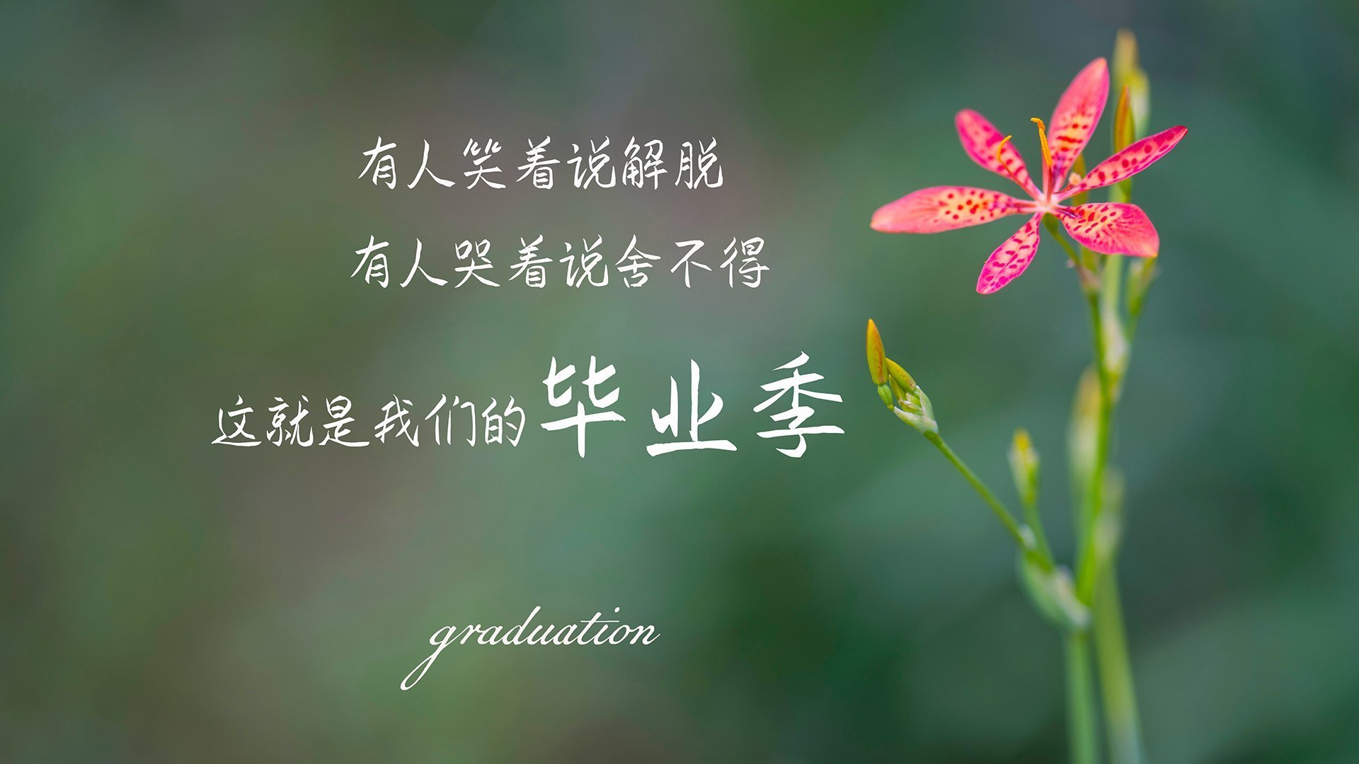 爱游戏-200米蝶泳战局激烈 乌兰多不让步，200米蝶泳视频