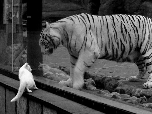 城市级青少年篮球联赛积分排名机制正式实行，青少年篮球梯队