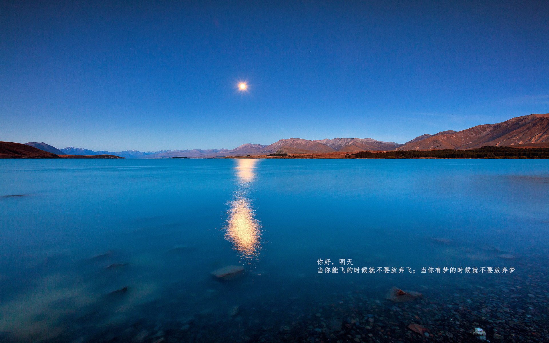 比利时男篮在欧洲预赛中拼搏不止,冲击奥运梦想,比利时男篮厉害吗