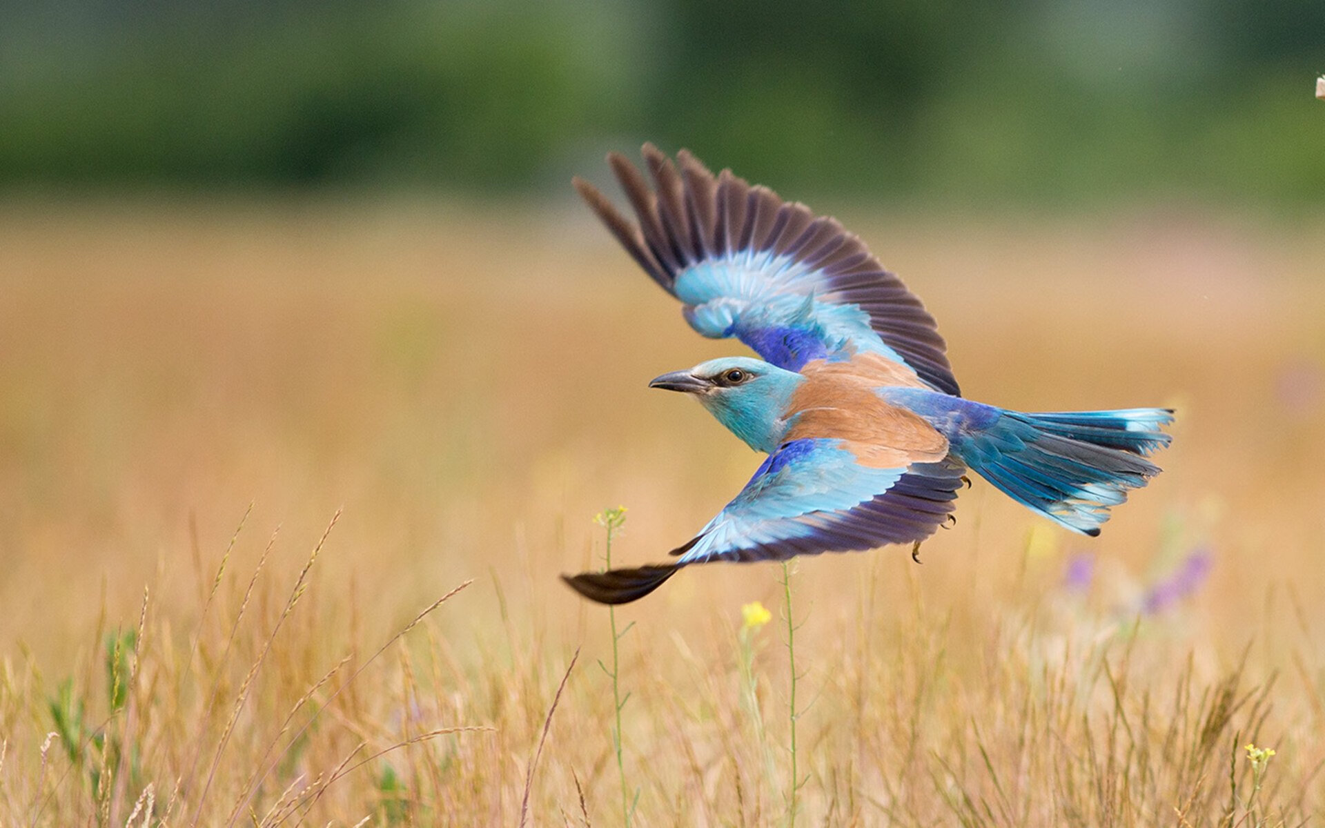 男子经验雄厚 女子潜力无限，男人精力有限女人潜力无限