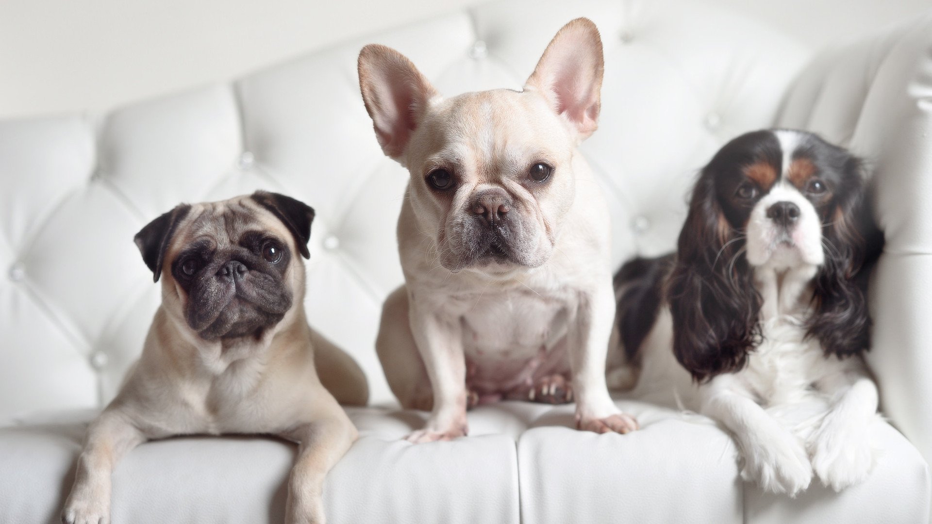 顶级赛事助推城市发展，赛事带动城市的发展